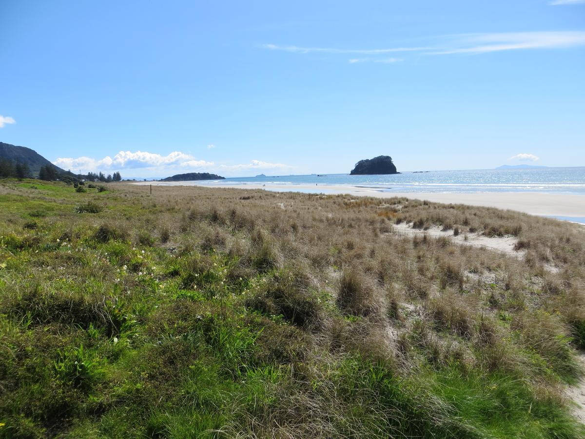 Cutterscove Resort Apartments Mount Maunganui Exterior foto